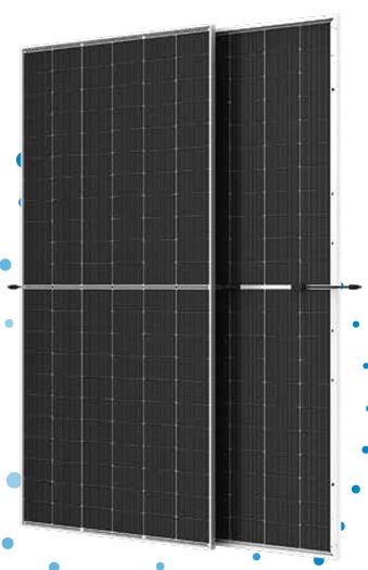 Trina Solar Vertex N 610W – N-Type i-TOPCon Bifacial Dual Glass Module (TSM-NEG19RC.20)